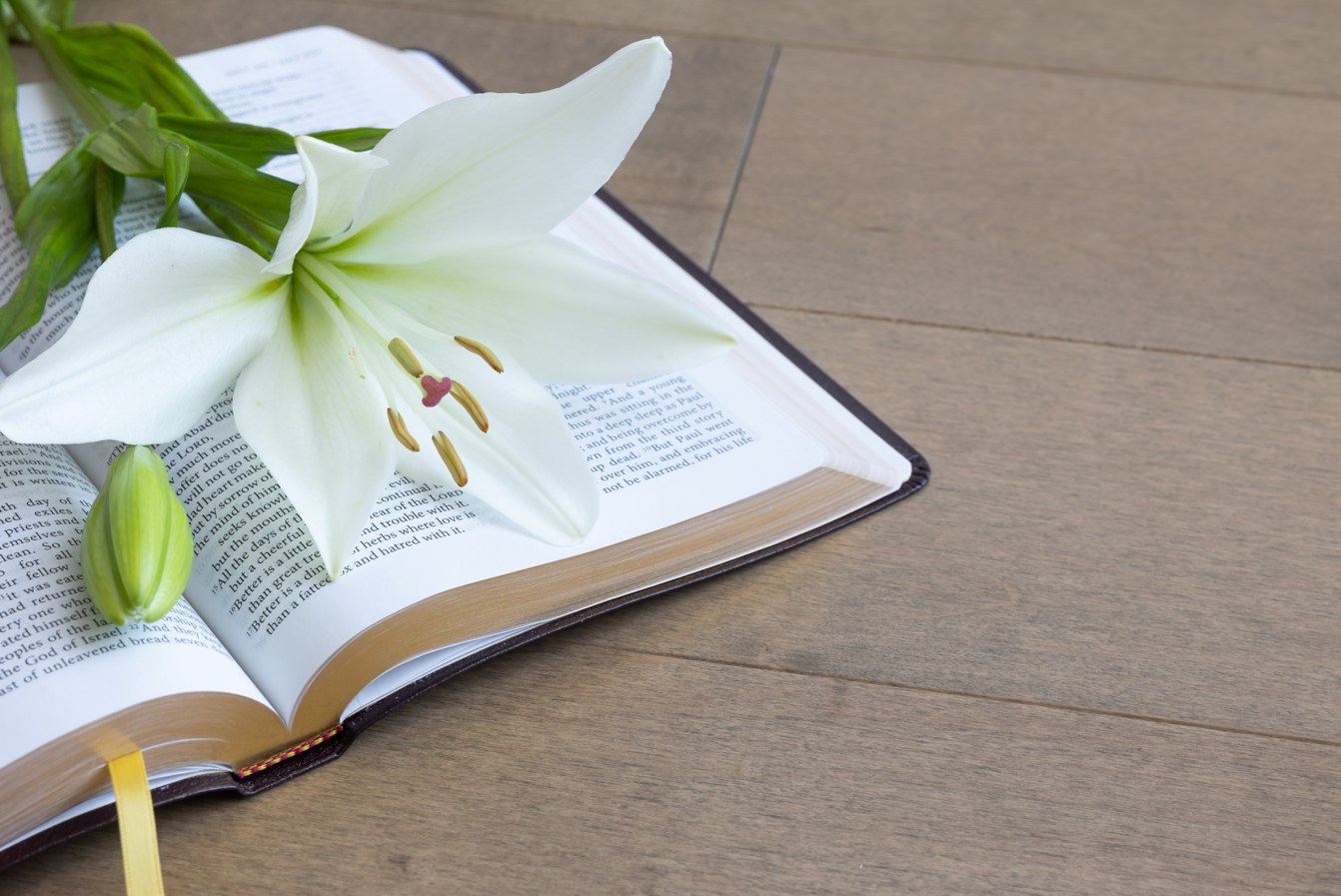Un lys blanc posé sur un livre ouvert, sur une table en bois